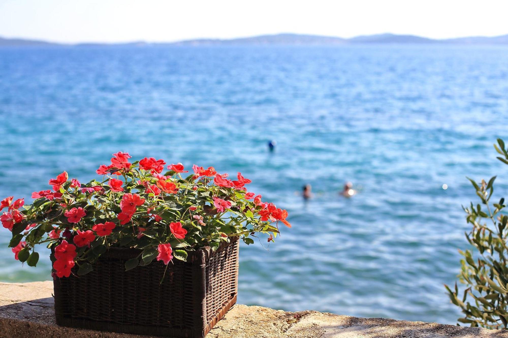 Apartmani Valerija I Joso Bibinje Dış mekan fotoğraf